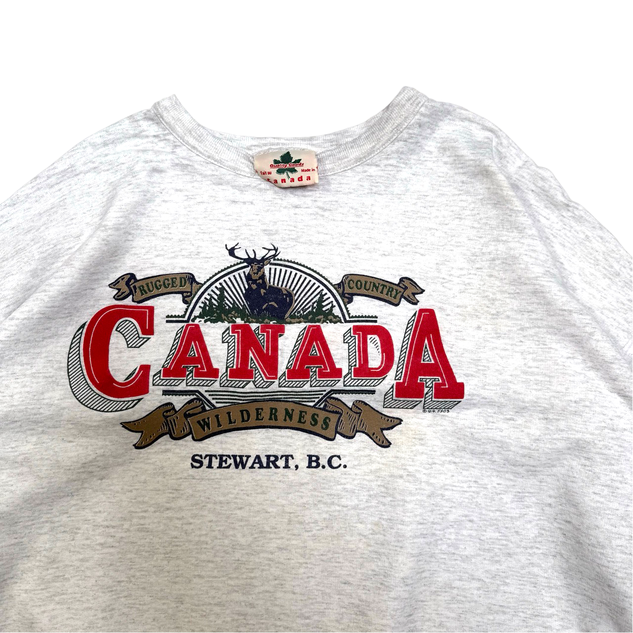 Vintage 90s Canada Wilderness British Columbia Graphic Sweater